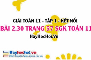 Giải bài 2.30 trang 57 Toán 11 tập 1 SGK Kết nối tri thức